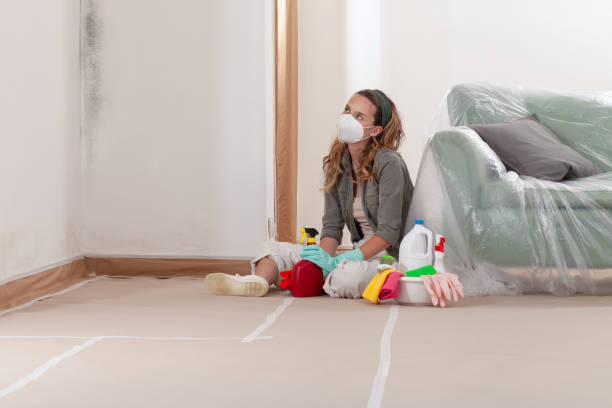 Reliable Mold Testing contractor in Lemont, IL by WQB Mold Removal